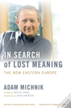 Capa do artigo In Search Of Lost Meaning