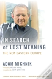 Capa do artigo In Search Of Lost Meaning