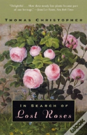Capa do artigo In Search Of Lost Roses