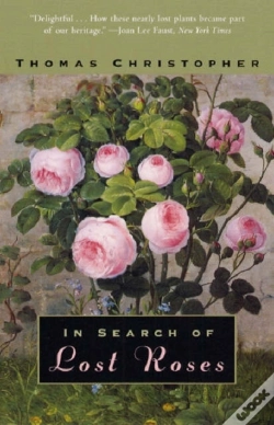 Capa do artigo In Search Of Lost Roses