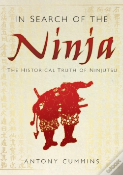 Capa do artigo In Search Of The Ninja