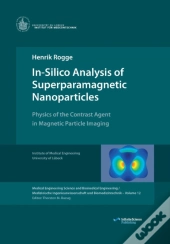In-Silico Analysis Of Superparamagnetic Nanoparticles