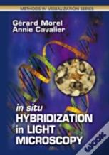 In Situ Hybridization In Light Microscopy