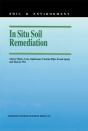 In Situ Soil Remediation - Preview