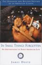 In Small Things Forgotten - Preview