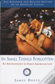 Capa do artigo In Small Things Forgotten