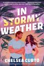 In Stormy Weather - Preview