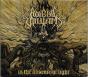 In The Absence Of Light - CD - Preview