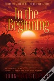 Capa do artigo In The Beginning