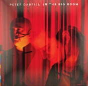 Capa do artigo In The Big Room - Vinil
