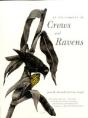 In The Company Of Crows And Ravens - Preview