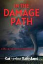 In The Damage Path - Preview