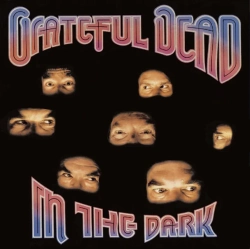 Capa do artigo In the Dark - Vinil