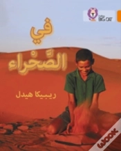 Capa do artigo In The Desert
