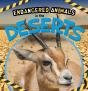 In The Deserts - Preview