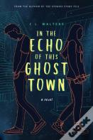 In The Echo Of This Ghost Town