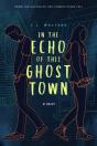 In The Echo Of This Ghost Town - Preview