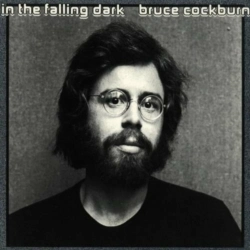 Capa do artigo In the Falling Dark - CD