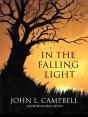 In The Falling Light - Preview