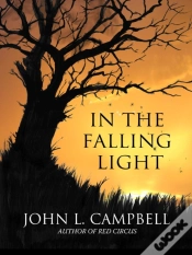 Capa do artigo In The Falling Light