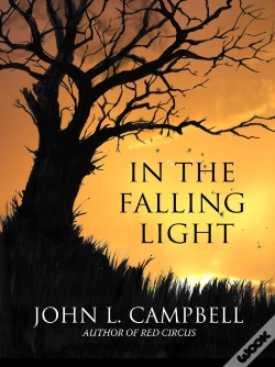 Capa do artigo In The Falling Light