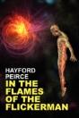 In The Flames Of The Flickerman - Preview