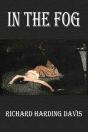 In The Fog - Preview