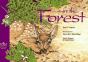 In The Forest - Preview