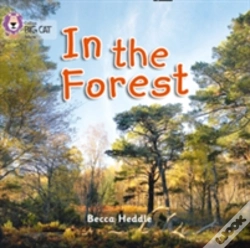 Capa do artigo In The Forest