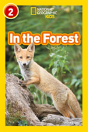 In The Forest - Preview