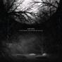 In the Forests_the Animals Are Moving - CD - Preview