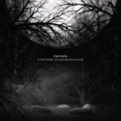 Capa do artigo In the Forests_the Animals Are Moving - CD