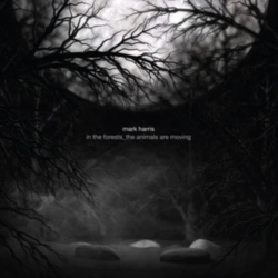 Capa do artigo In the Forests_the Animals Are Moving - CD