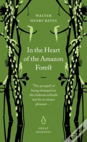 Capa do artigo In The Heart Of The Amazon Forest