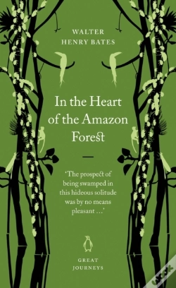 Capa do artigo In The Heart Of The Amazon Forest