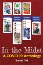 In The Midst - Preview