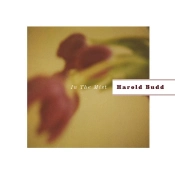 Capa do artigo In The Mist - CD