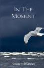 In The Moment - Preview