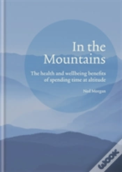Capa do artigo In The Mountains