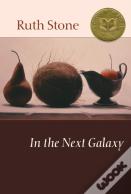 In The Next Galaxy