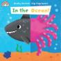 In The Ocean Really Decent Flip Flap - Preview