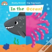 Capa do artigo In The Ocean Really Decent Flip Flap
