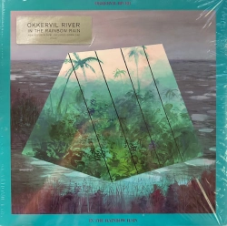 Capa do artigo In The Rainbow Rain - Vinil