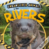 Capa do artigo In The Rivers