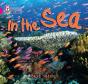 In The Sea - Preview