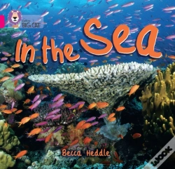 Capa do artigo In The Sea