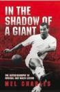 In The Shadow Of A Giant - Preview