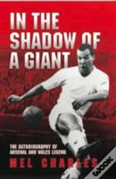 In The Shadow Of A Giant