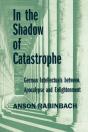 In The Shadow Of Catastrophe - Preview