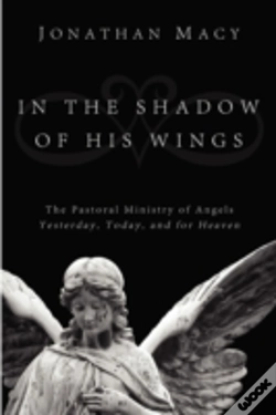 Capa do artigo In The Shadow Of His Wings